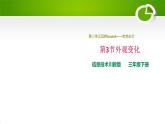 3.3外观变化课件（PPT）