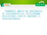 3.4综合运用课件（PPT）