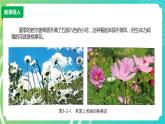 川教版四年级下册信息技术 3.2《自制积木》PPT课件