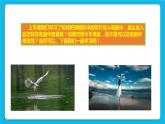 浙摄影版四年级下册信息技术第3课精彩图片剪辑课件PPT