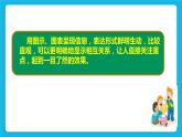 浙摄影版四年级下册信息技术第9课丰富幻灯片内容课件PPT