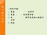 新世纪版四年级下册信息技术第二课在幻灯片中插入图片第一课时课件PPT