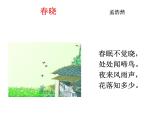 新世纪版四年级下册信息技术第三课《在幻灯片中插入声音和影片》课件PPT