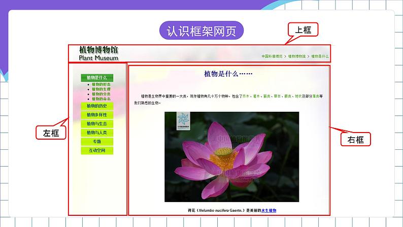 闽教版（2016）信息技术五年级下册 12《设计框架网页》课件第4页