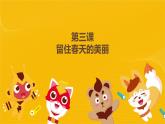 河大版三年级下册教案第三课《留住春天的美丽》pptx