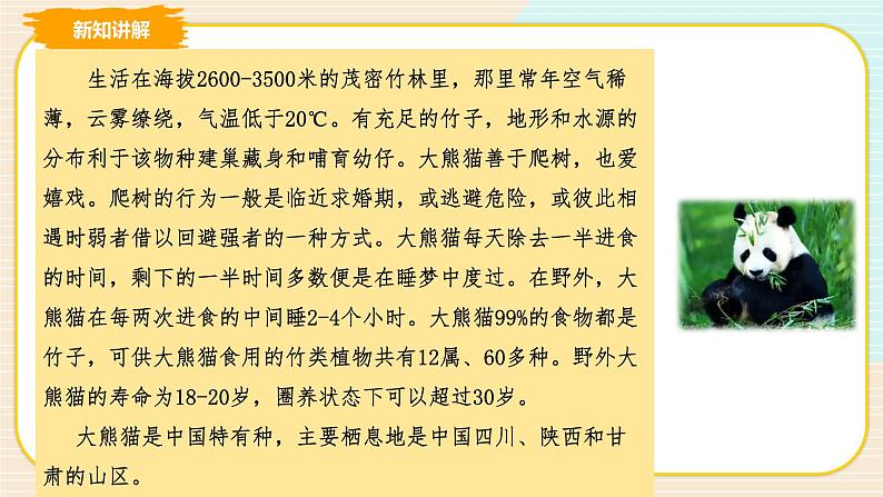 教科版信息技术四年级上册第15课 动物世界 课件第6页