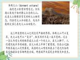 冀教版信息技术六上自然探索——火山PPT课件