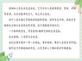 冀教版信息技术六上珍稀植物PPT课件