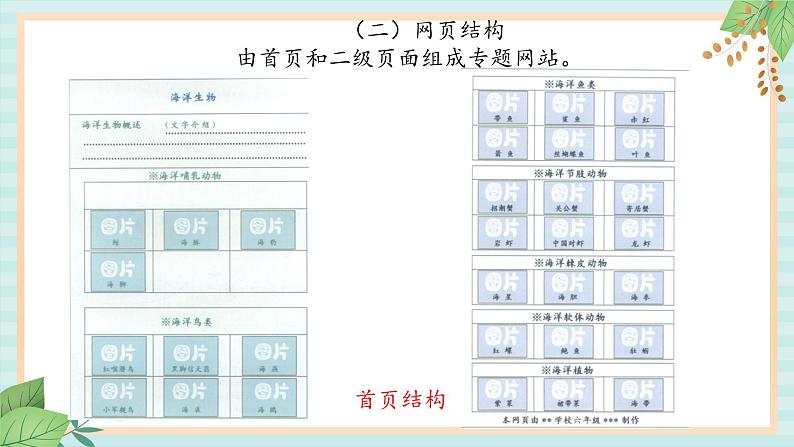 冀教版信息技术六上海洋生物PPT课件第5页