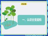 【新课标核心素养】浙教版（2023）信息技术五上7《分支结构》课件+教案