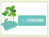【新课标核心素养】浙教版（2023）信息技术五上8《双分支结构》课件+教案