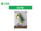 桂科版小学信息技术六年级下册 主题二 任务一  蝶弄花间伴春舞 课件