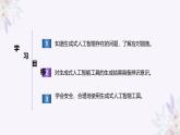 义务教育版（2024）信息技术 四年级全一册 第六单元 第30课《应对智能新挑战》课件