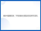 浙教版信息科技四上課件12 編碼長(zhǎng)度與信息量