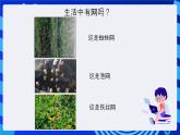 浙摄影版信息技术四年级下册 第1课 《生活与网络》课件+教案+素材