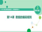 浙教版信息科技四上課件14課 編碼的規(guī)則制定