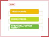 【新教材】义务教育版信息技术六年级全一册第3课  我是小小控制员 课件+教案