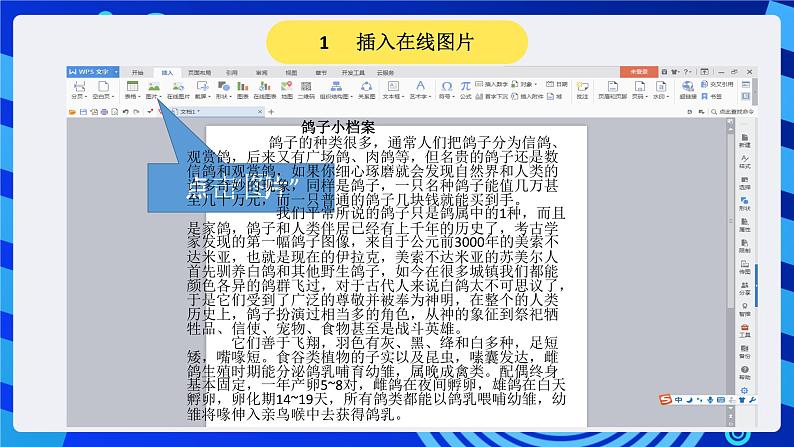 大连理工版信息技术三下 5《建立动物档案》课件第4页