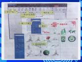 大连理工版信息技术三下 5《建立动物档案》课件