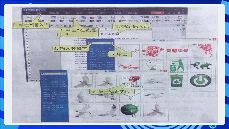 大连理工版信息技术三下 5《建立动物档案》课件第5页