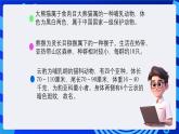 大连理工版信息技术三下 6《设计动物图册》课件