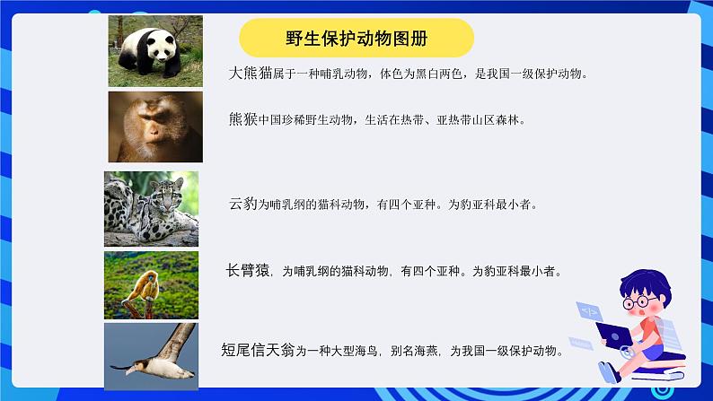 大连理工版信息技术三下 7《神奇的艺术字》课件第2页