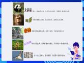 大连理工版信息技术三下 7《神奇的艺术字》课件