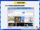 大连理工版信息技术三下 第4课《建立动物档案》课件