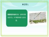 五年級(jí)下冊(cè)信息技術(shù)第二單元第四課《生活中的控制系統(tǒng)》浙教版2023課件