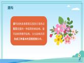 五年級(jí)下冊(cè)信息技術(shù)第三單元第十三課《循環(huán)結(jié)構(gòu)（一）》浙教版2023課件