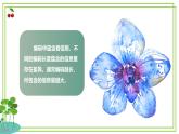【核心素養(yǎng)目標(biāo)】四年級(jí)上冊(cè)信息技術(shù)第一單元第12課《編碼長(zhǎng)度與信息量》浙教版2023 課件