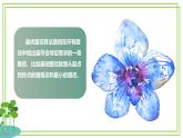 五年級(jí)上冊(cè)信息技術(shù)第三單元第15課《算法的應(yīng)用》浙教版2023 課件