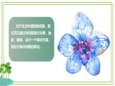 五年級(jí)上冊(cè)信息技術(shù)第三單元第14課《算法的驗(yàn)證》浙教版2023 課件