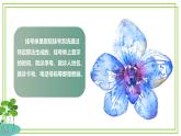 五年級(jí)上冊(cè)信息技術(shù)第一單元第4課《算法中的數(shù)據(jù)》浙教版2023 課件