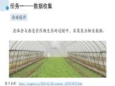 西師大版小學(xué)信息科技四年級下冊跨學(xué)科主題活動課件