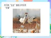 粵教B版小學(xué)信息技術(shù) 六年級(jí)下冊(cè)10《走進(jìn)3D打印世界》課件