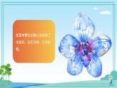 五年級下冊信息技術(shù)第二單元第七課《控制系統(tǒng)的輸出》浙教版2023課件