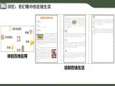 第11課 關(guān)注網(wǎng)絡(luò)痕跡 課件 2025-2026學(xué)年 三年級上冊信息技術(shù)浙教版
