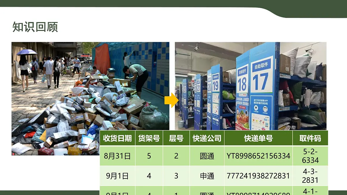 第11课 有序的世界 课件 2025-2026学年四年级上册信息浙教版第6页