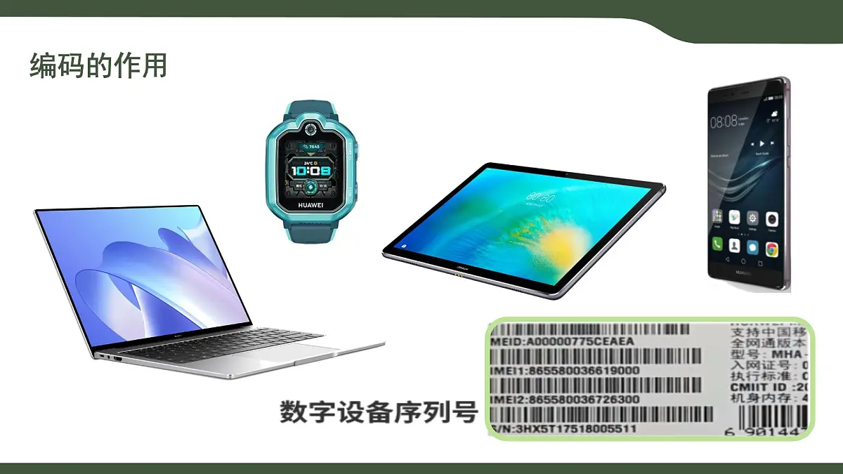 第11课 有序的世界 课件 2025-2026学年四年级上册信息浙教版第8页