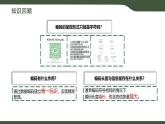 第14課 編碼的規(guī)則制訂 課件 2025-2026學(xué)年四年級上冊信息科技浙教版