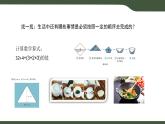 第6課 順序結(jié)構(gòu) 課件 2025-2026學(xué)年五年級上冊信息技術(shù)浙教版