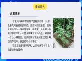 人教版（2024）信息技術(shù)六年級全一冊 第17課《設(shè)計(jì)我的種植園》課件