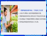 人教版（2024）信息技術(shù)六年級全一冊 第17課《設(shè)計(jì)我的種植園》課件