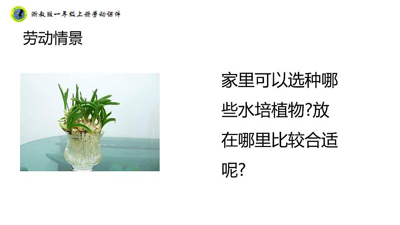 浙教版一年级劳动上册项目四任务一瓶瓶罐罐做花瓶课件07