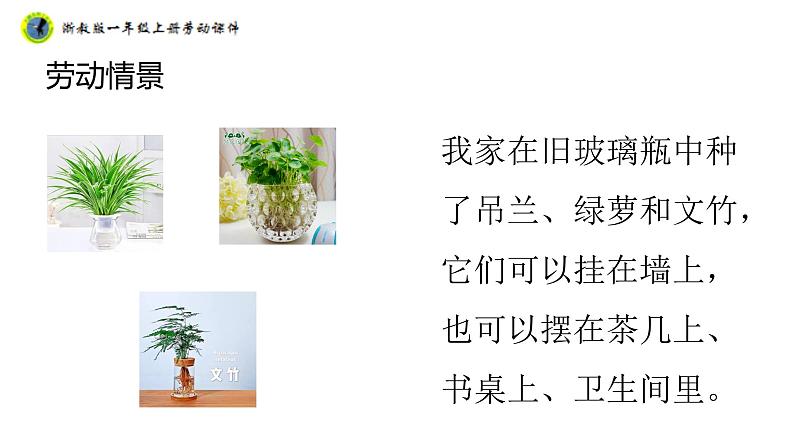 浙教版一年级劳动上册项目四任务一瓶瓶罐罐做花瓶课件08