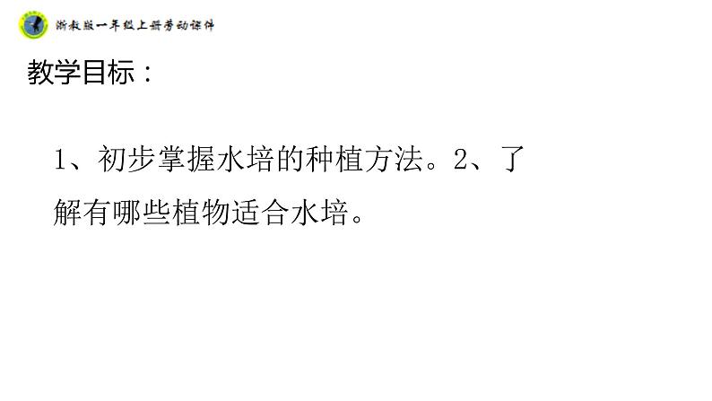 浙教版一年级劳动上册项目四任务二选种水培植物课件02