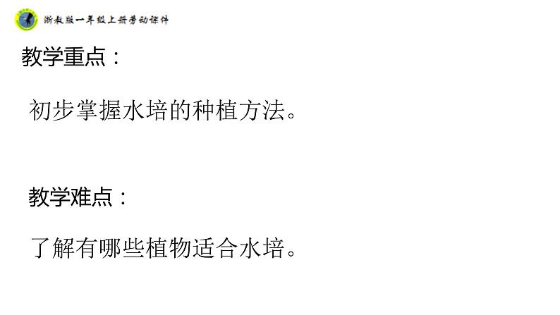 浙教版一年级劳动上册项目四任务二选种水培植物课件03