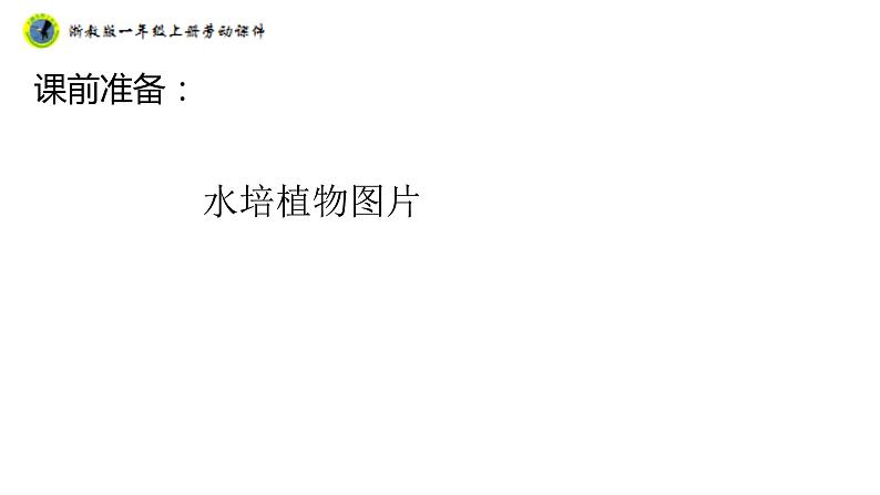 浙教版一年级劳动上册项目四任务二选种水培植物课件04