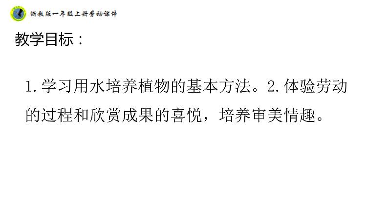 浙教版一年级劳动上册项目四任务三水培植物我养护标题02